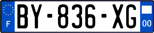 BY-836-XG