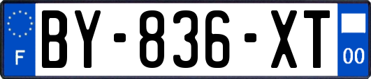 BY-836-XT