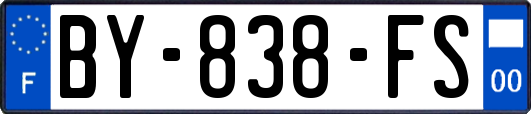 BY-838-FS