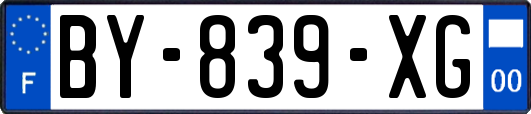 BY-839-XG