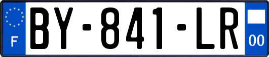 BY-841-LR