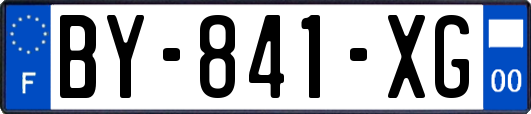 BY-841-XG