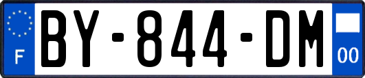 BY-844-DM