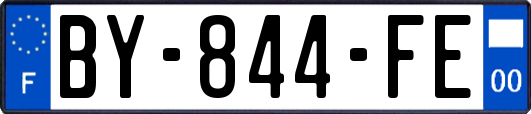 BY-844-FE