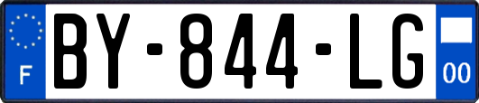 BY-844-LG