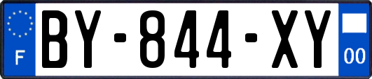 BY-844-XY