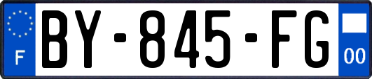 BY-845-FG