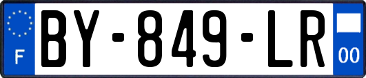 BY-849-LR