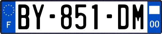 BY-851-DM