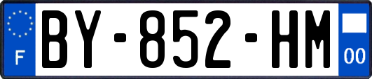 BY-852-HM
