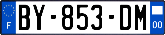 BY-853-DM