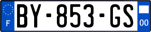 BY-853-GS