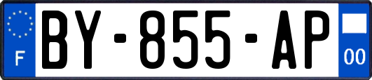 BY-855-AP