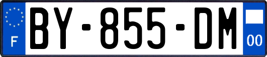 BY-855-DM