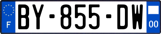 BY-855-DW
