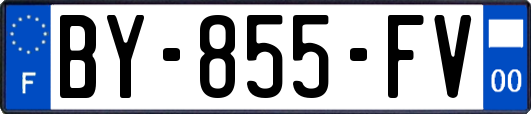 BY-855-FV