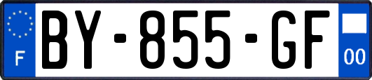 BY-855-GF
