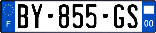 BY-855-GS
