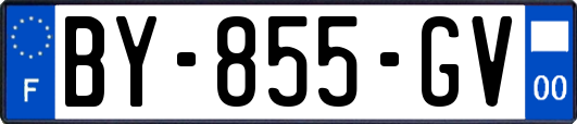 BY-855-GV