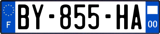 BY-855-HA