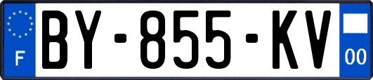 BY-855-KV
