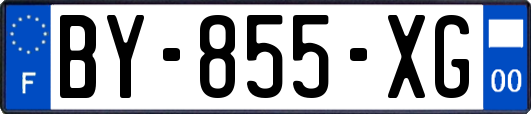 BY-855-XG