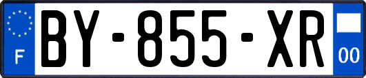 BY-855-XR