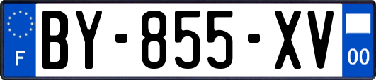 BY-855-XV