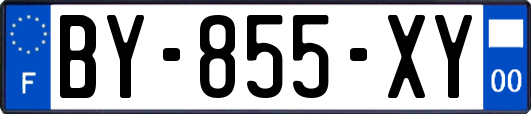 BY-855-XY