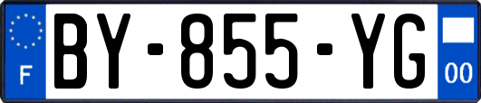 BY-855-YG