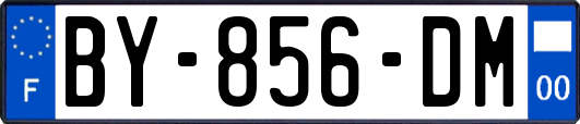 BY-856-DM