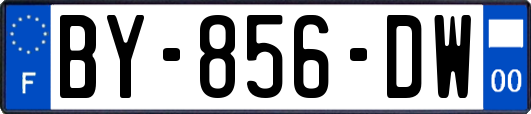 BY-856-DW