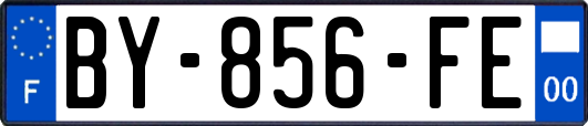 BY-856-FE