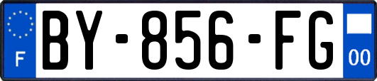 BY-856-FG