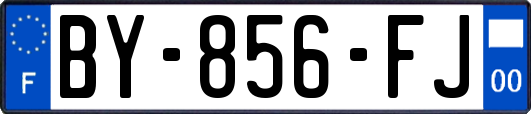 BY-856-FJ