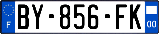 BY-856-FK