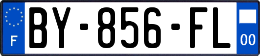 BY-856-FL