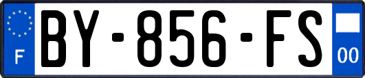 BY-856-FS