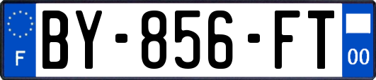 BY-856-FT