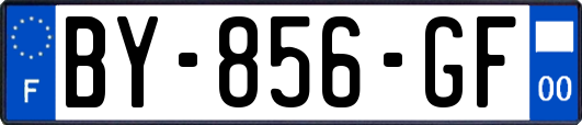 BY-856-GF