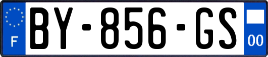 BY-856-GS