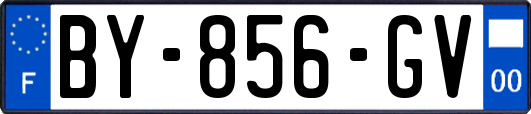 BY-856-GV