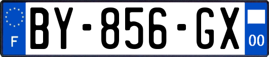 BY-856-GX