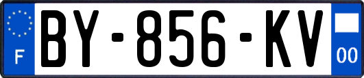 BY-856-KV