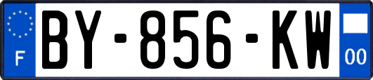 BY-856-KW