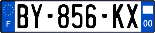 BY-856-KX