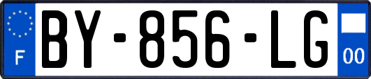 BY-856-LG