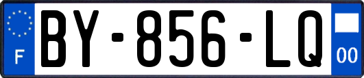 BY-856-LQ