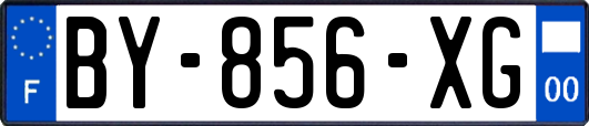 BY-856-XG