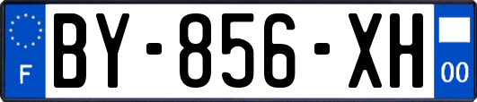 BY-856-XH